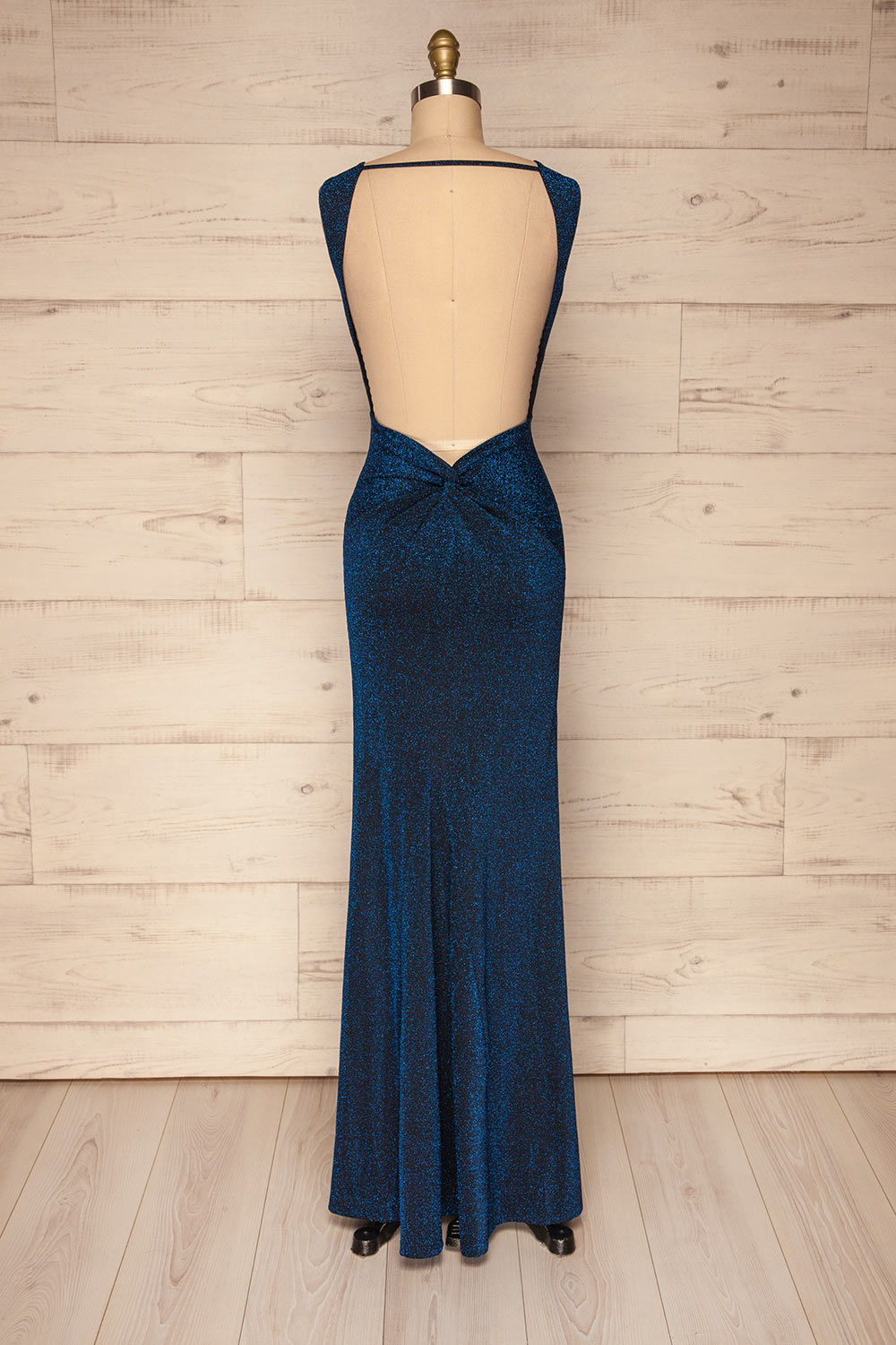 Farbrors Royal Blue Maxi Dress | Robe | La Petite Garçonne back view 