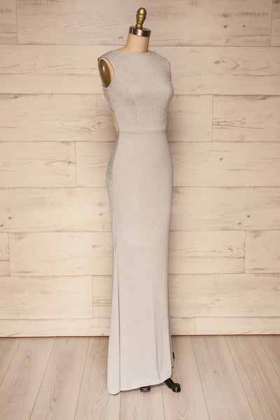 Farbrors Silver Maxi Dress | Robe | La Petite Garçonne side view