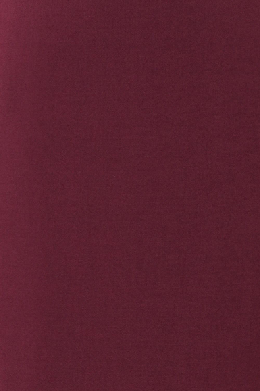 Filnio Burgundy Fitted Ted Baker Cocktail Dress  | TEXTURE DETAIL | Boutique 1861