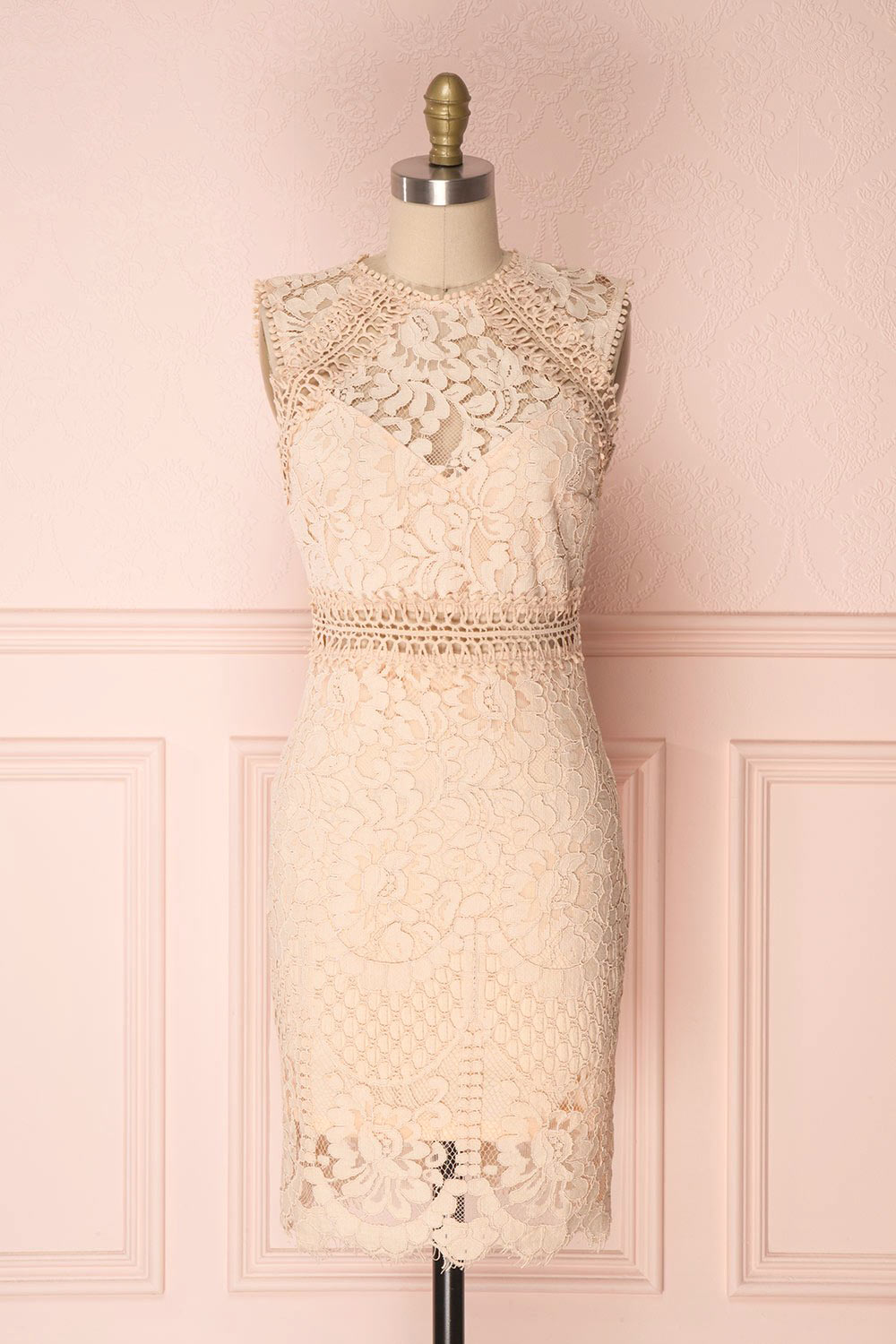 Gabryelli Blush Lace Fitted Cocktail Dress | Boutique 1861 front view