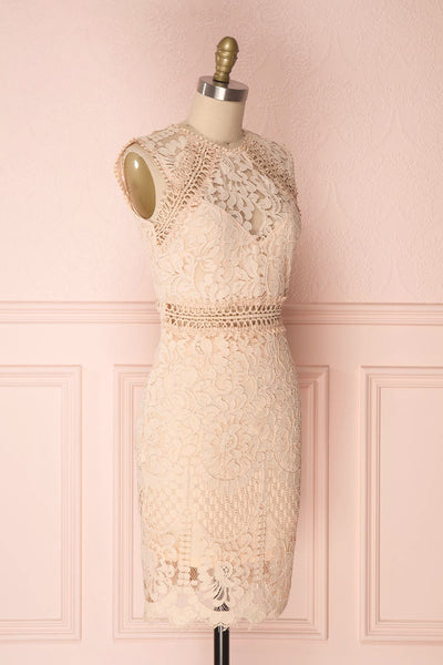Gabryelli Blush Lace Fitted Cocktail Dress | Boutique 1861 side view