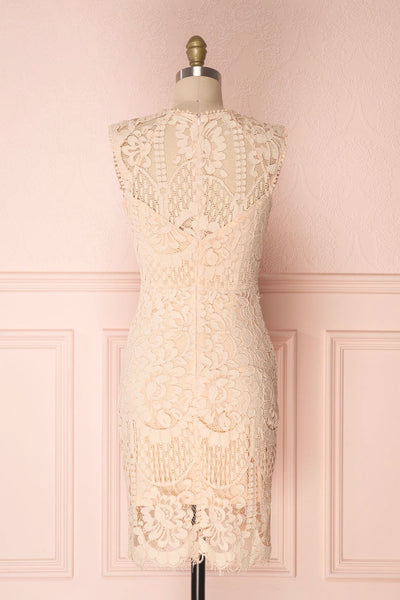 Gabryelli Blush Lace Fitted Cocktail Dress | Boutique 1861 back view