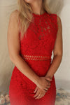 Gabryelli Rouge | Fitted Lace Dress