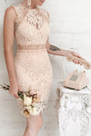 Gabryelli Blush Lace Fitted Cocktail Dress | Boutique 1861model