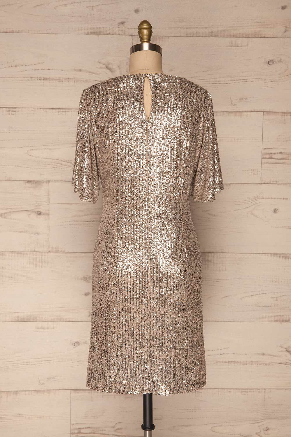 Gamze Argent Silver Sequin Short Shift Dress back view | La Petite Garçonne