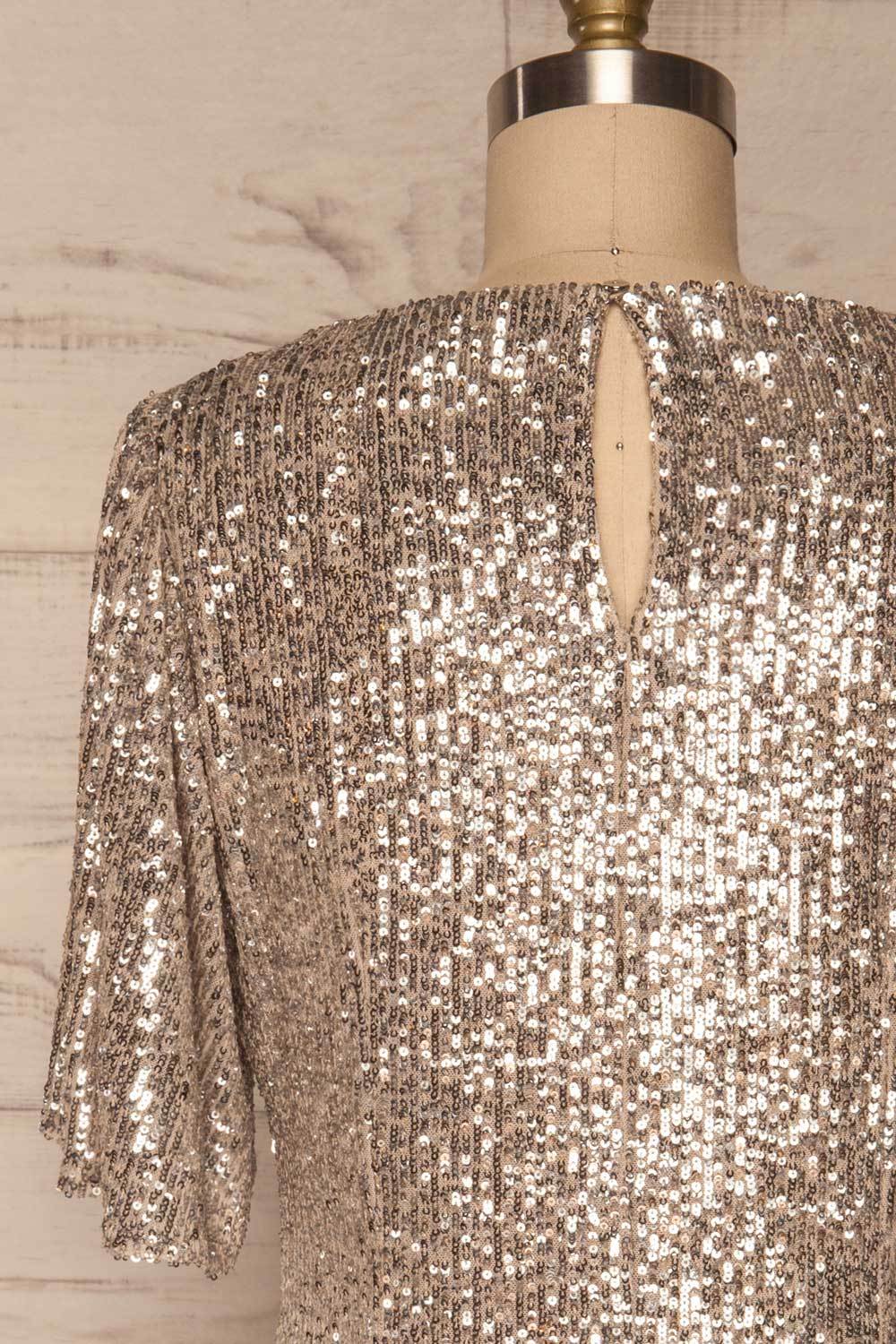 Gamze Argent Silver Sequin Short Shift Dress back close up | La Petite Garçonne