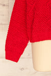 Glinka Red Soft Knit Sweater w/ Pattern | SLEEVE CLOSE UP | La Petite Garçonne