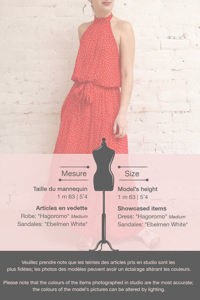 Hagoromo Red & White Polka Dots Maxi Dress | La petite garçonne template