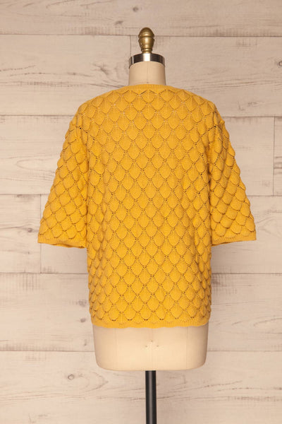 Krynica Sun Yellow V-Neck Knit Top | La petite garçonne back view