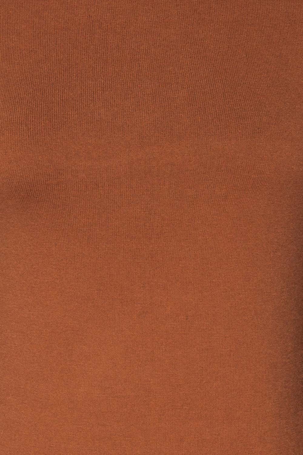 Kuznia Rust Long Sleeve Mock Neck Top | La petite garçonne fabric