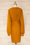 Lamia Mustard Long Sleeve V-Neck Midi Dress | La petite garçonne back view