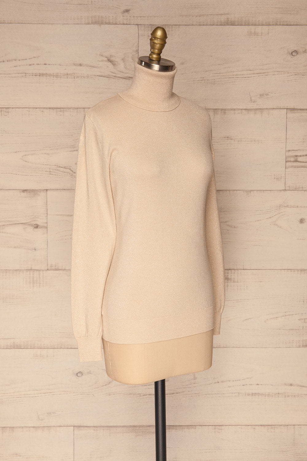 Lecco Beige Sparkling Turtleneck Top | La petite garçonne  side view 