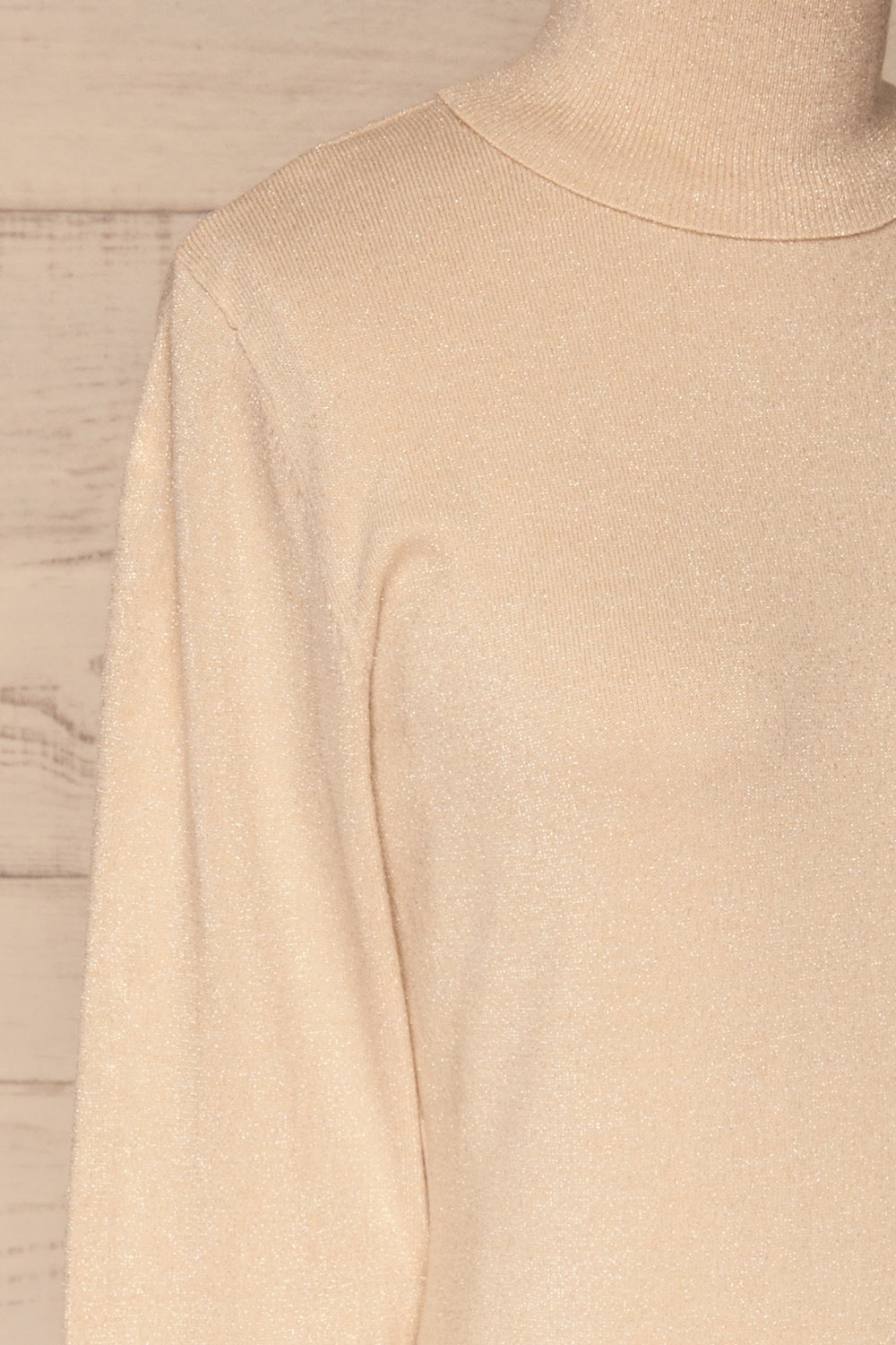 Lecco Beige Sparkling Turtleneck Top | La petite garçonne  side close-up