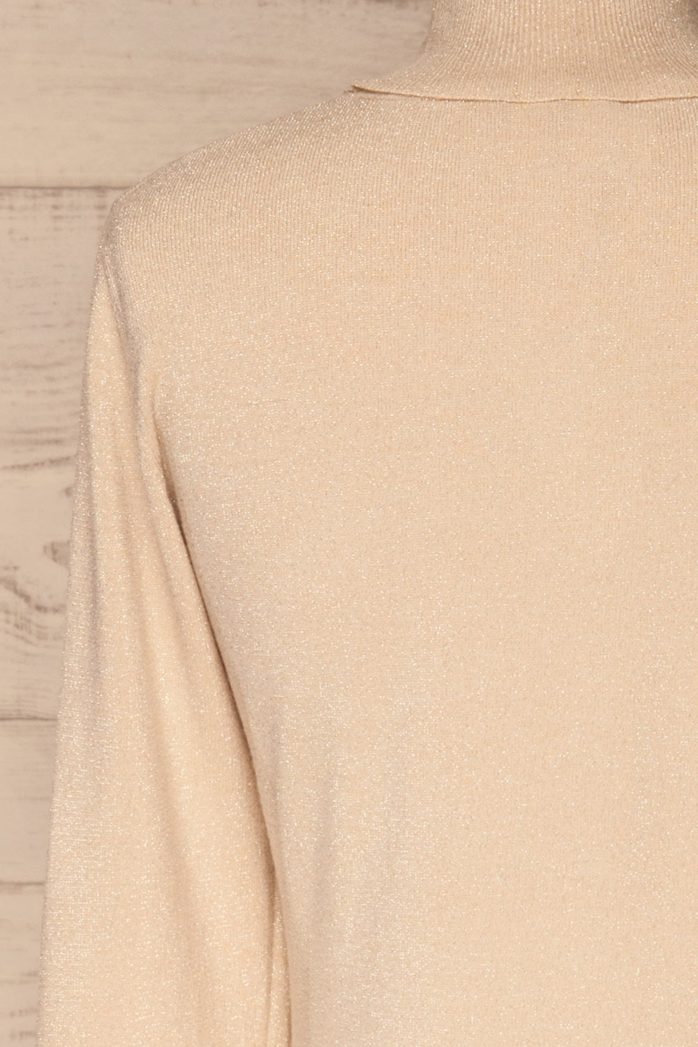 Lecco Beige Sparkling Turtleneck Top | La petite garçonne  back close-up