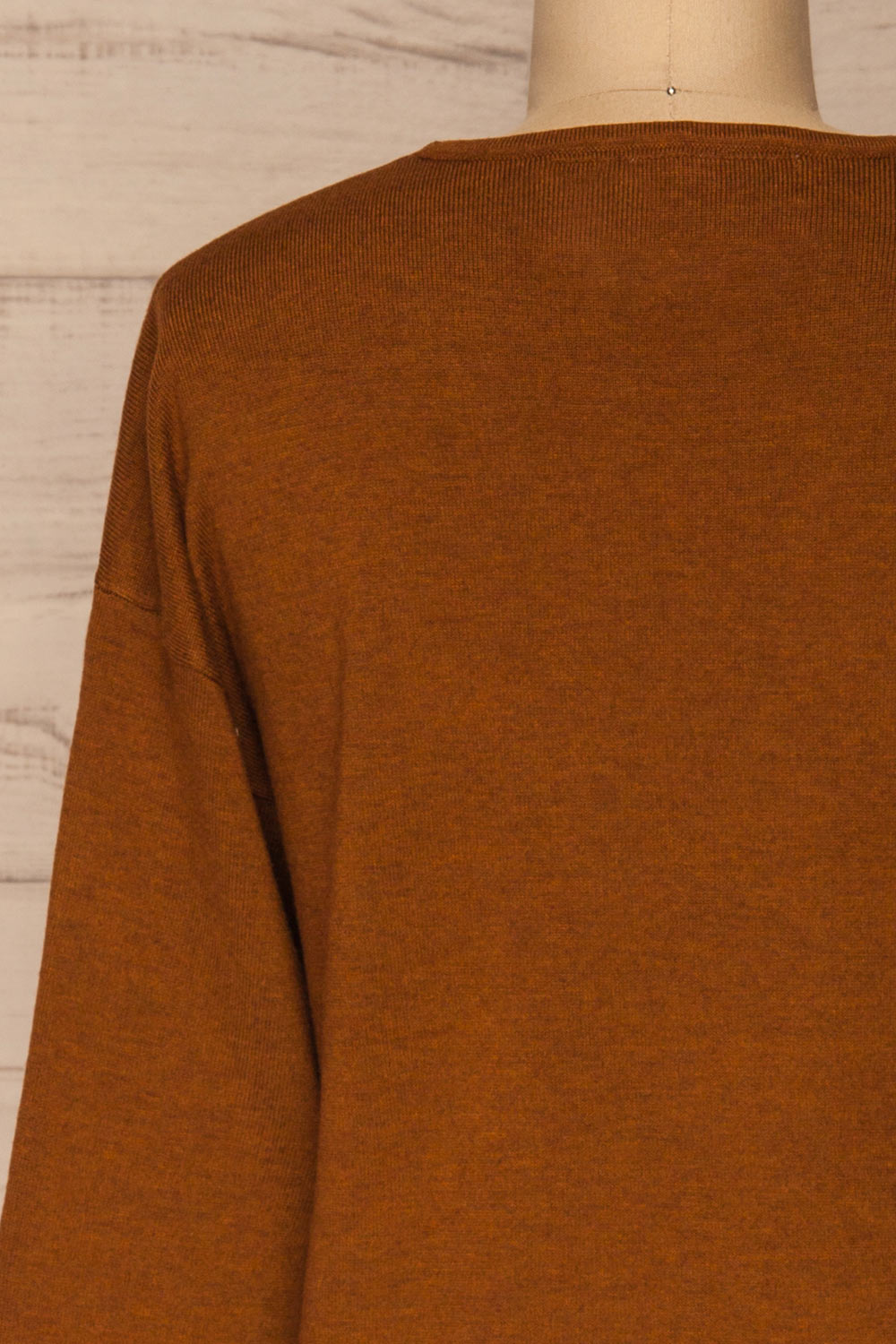 Lezajask Brown Long Sleeve Top | La petite garçonne back close-up