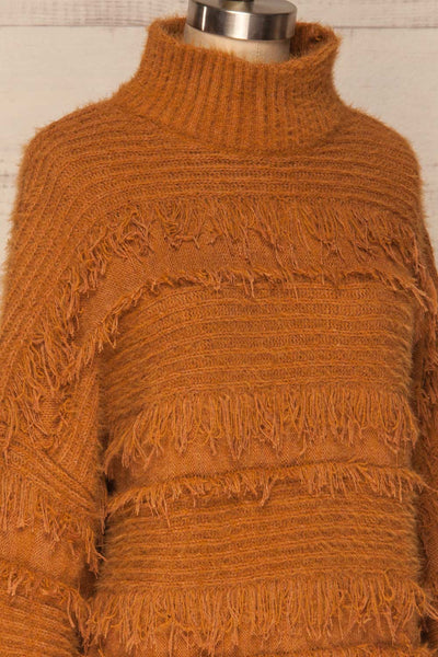 Lisen Caramel Striped Knit Turtleneck Sweater | La Petite Garçonne 5