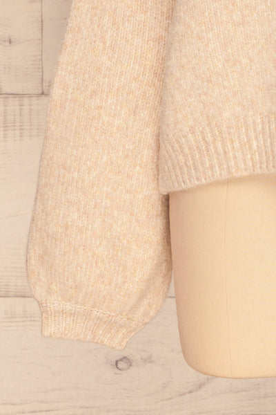 Listalin Beige Cropped Knit Sweater | La petite garçonne  sleeve