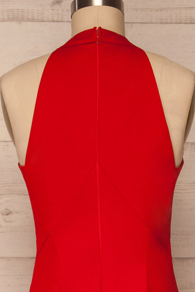 Lubomierz Red Fitted Maxi Mermaid Dress | La petite garçonne back close up