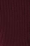 Mainz Wine Long Sleeve Turtleneck Bodysuit | La petite garçonne fabric