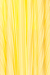 Marly Sun Yellow Sleeveless A-Line Dress | Boutique 1861 fabric