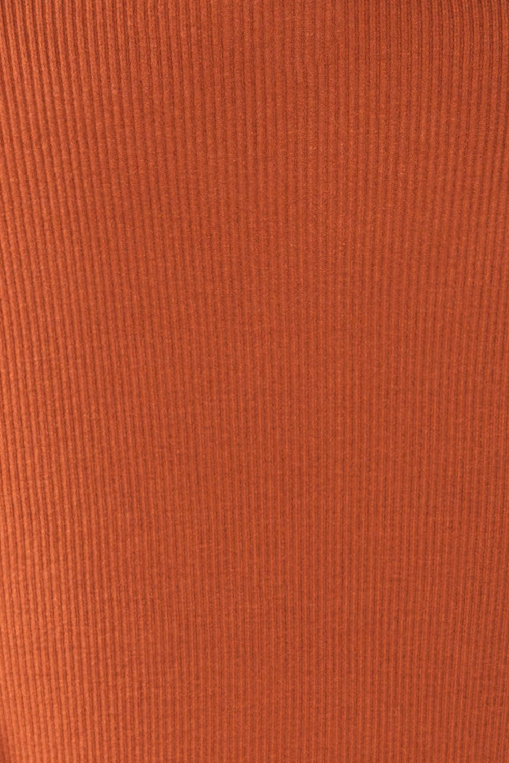 Moino Clay Orange Puffy Sleeve Turtleneck | La petite garçonne fabric 