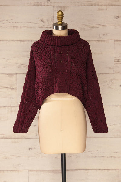Nakka Burgundy Cropped Knit Sweater | La petite garçonne front view