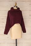 Nakka Burgundy Cropped Knit Sweater | La petite garçonne side view