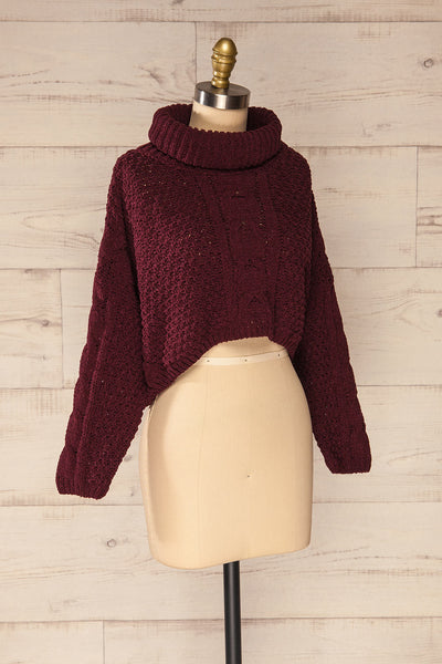 Nakka Burgundy Cropped Knit Sweater | La petite garçonne side view