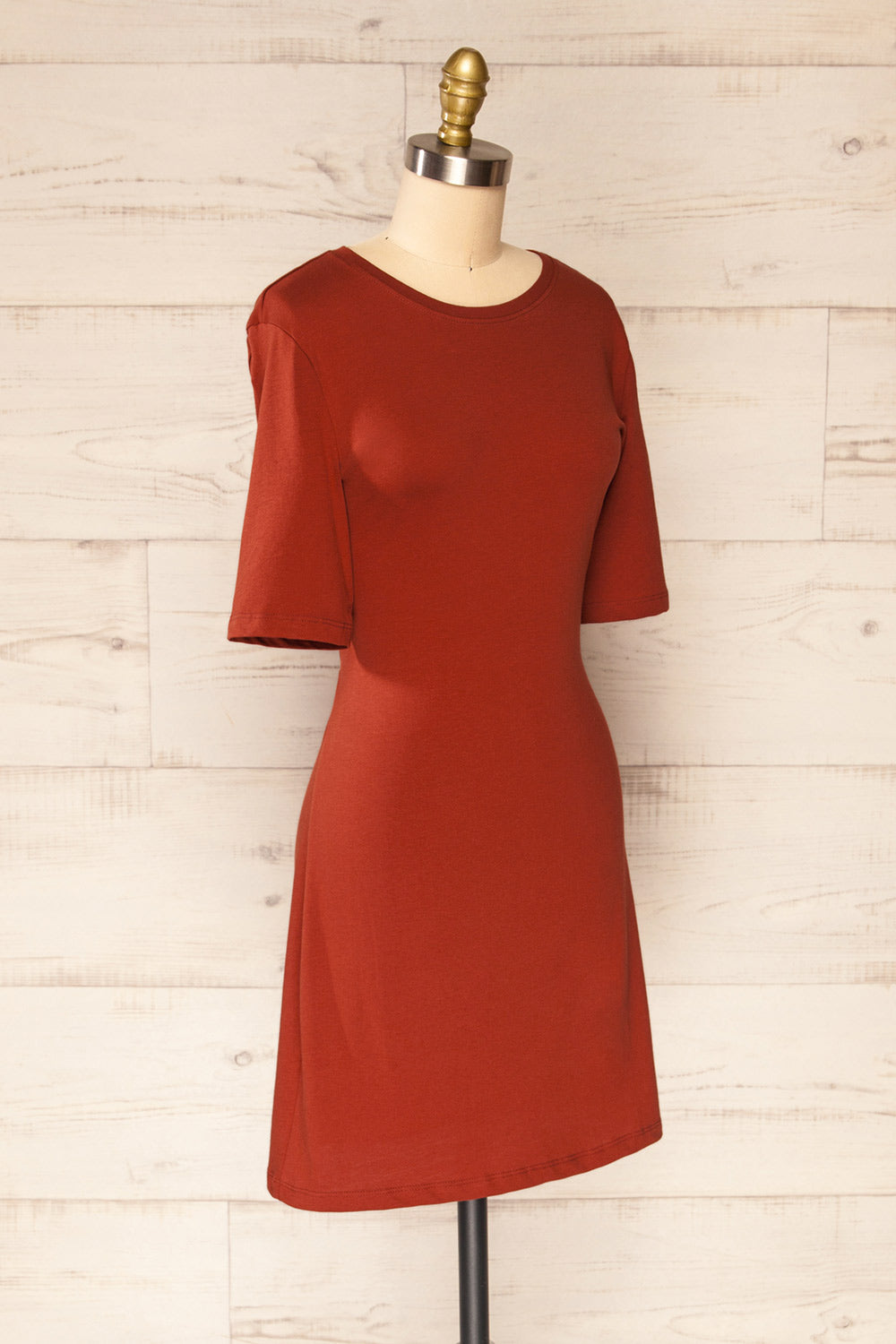 Nida Rust Short Sleeves Short Dress | La petite garçonne side view 