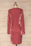 Olawa Pink Long Sleeve Velvet Dress | La petite garçonne  back view