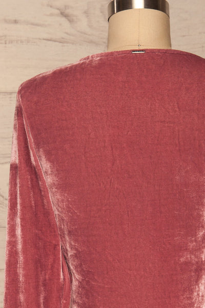 Olawa Pink Long Sleeve Velvet Dress | La petite garçonne  back close up