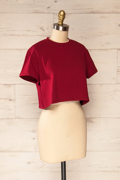 Ovca Burgundy Cropped T-Shirt | La petite garçonne side view