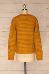 Ozimek Yellow Button-Up Knitted Cardigan | La petite garçonne back view