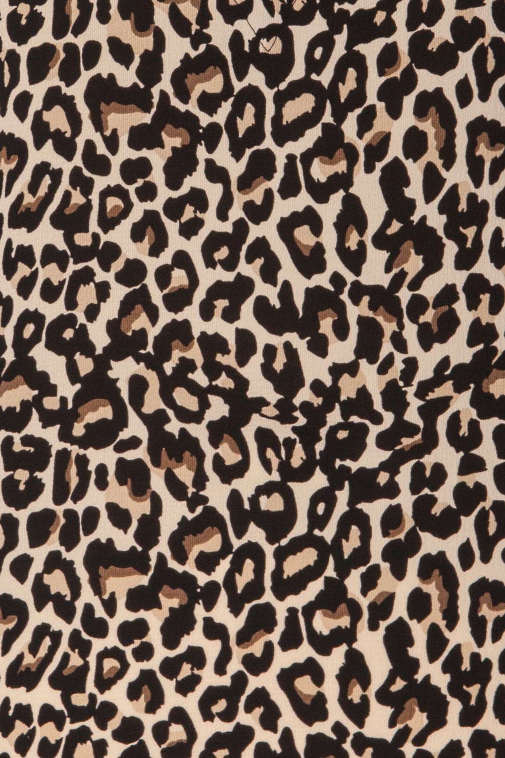 Paignton Leopard Print V-Neck Camisole | La Petite Garçonne 7