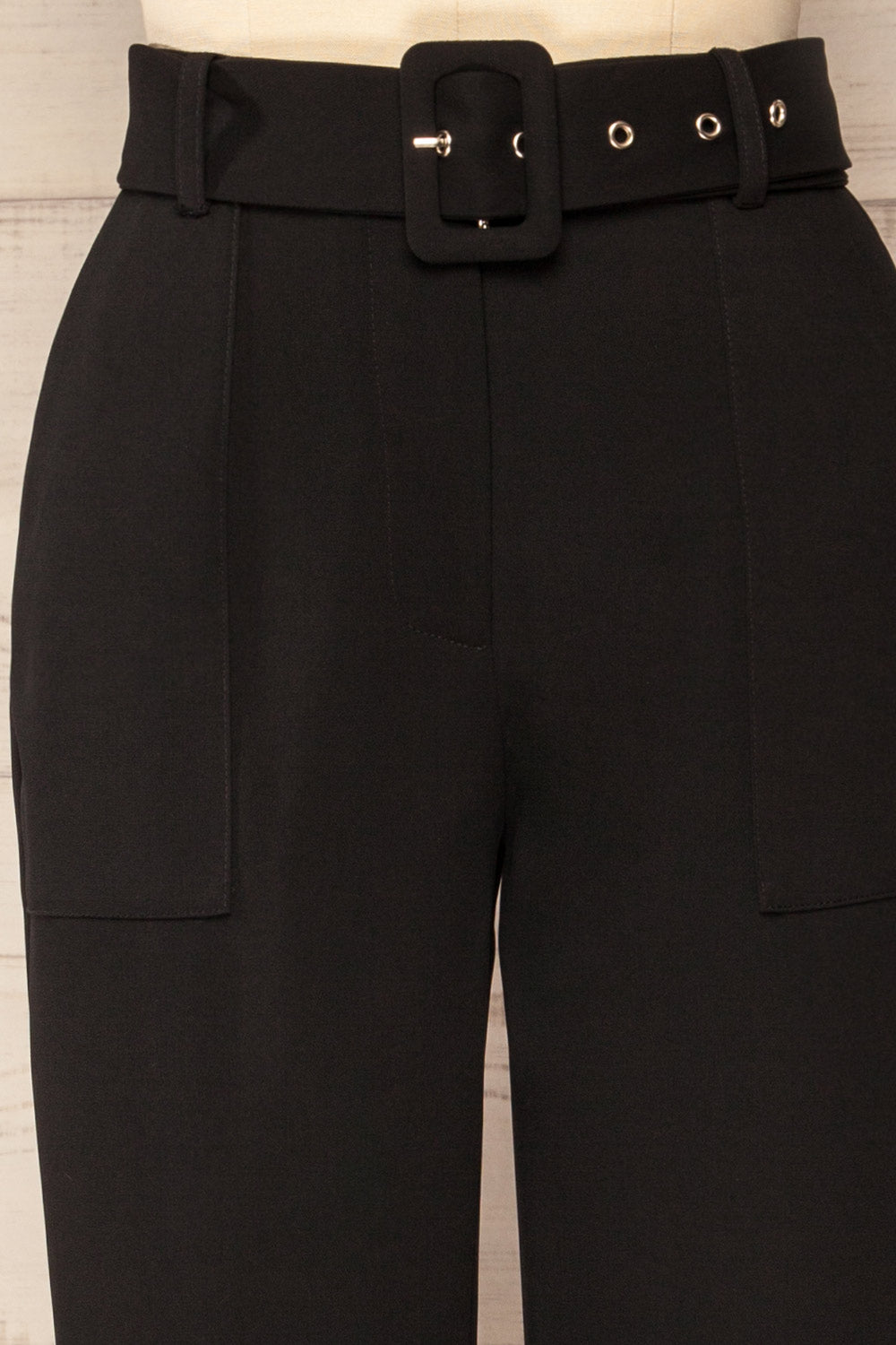 Palizzolo High-Waisted Pants with Belt | La petite garçonne front close-up