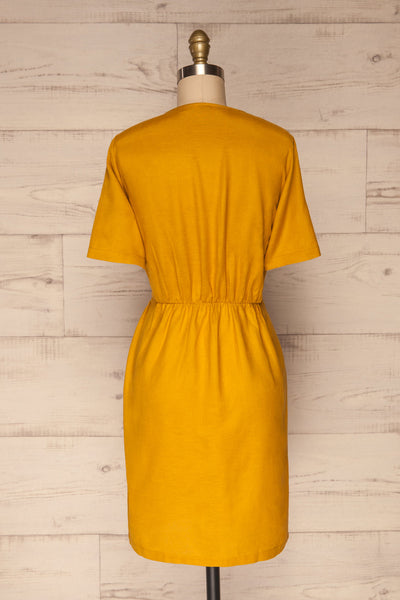Penza Yellow Short Sleeve Dress | La petite garçonne back view