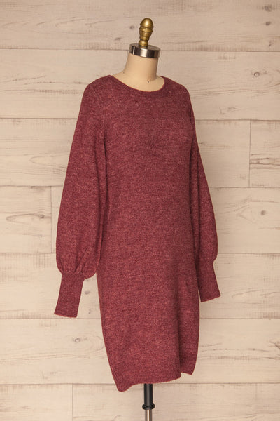 Poorto Dark Pink Short Knitted Dress | La petite garçonne side view