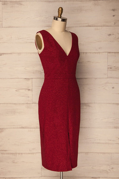 Recale Burgundy | Sparkly Plus Size Dress