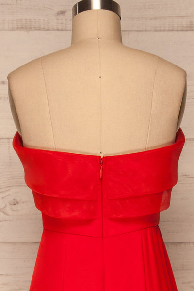 Rezina Red Strapless Maxi Dress back close up | La petite garçonne