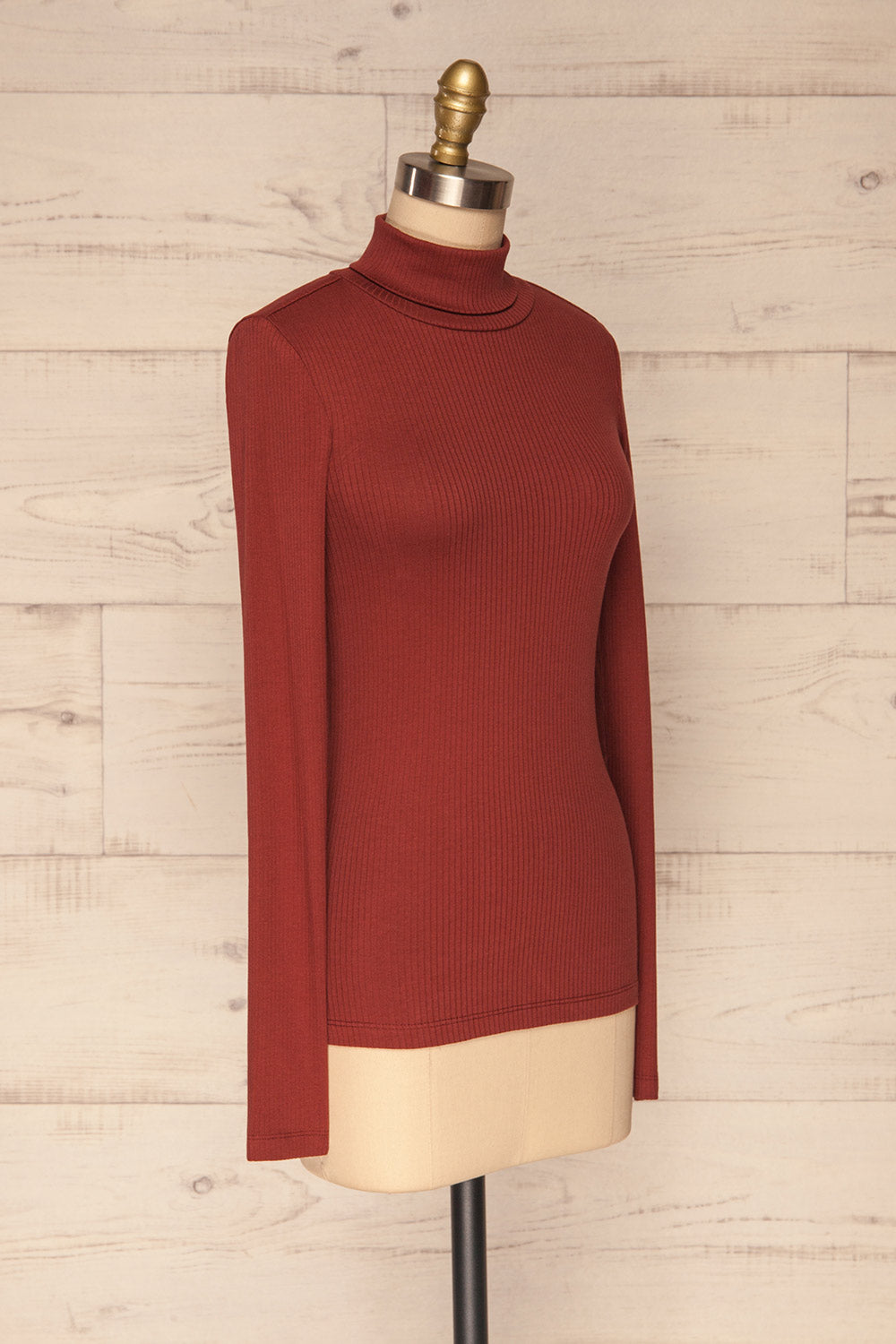 Roust Rust Cotton Ribbed Turtleneck Top side view | La Petite Garçonne