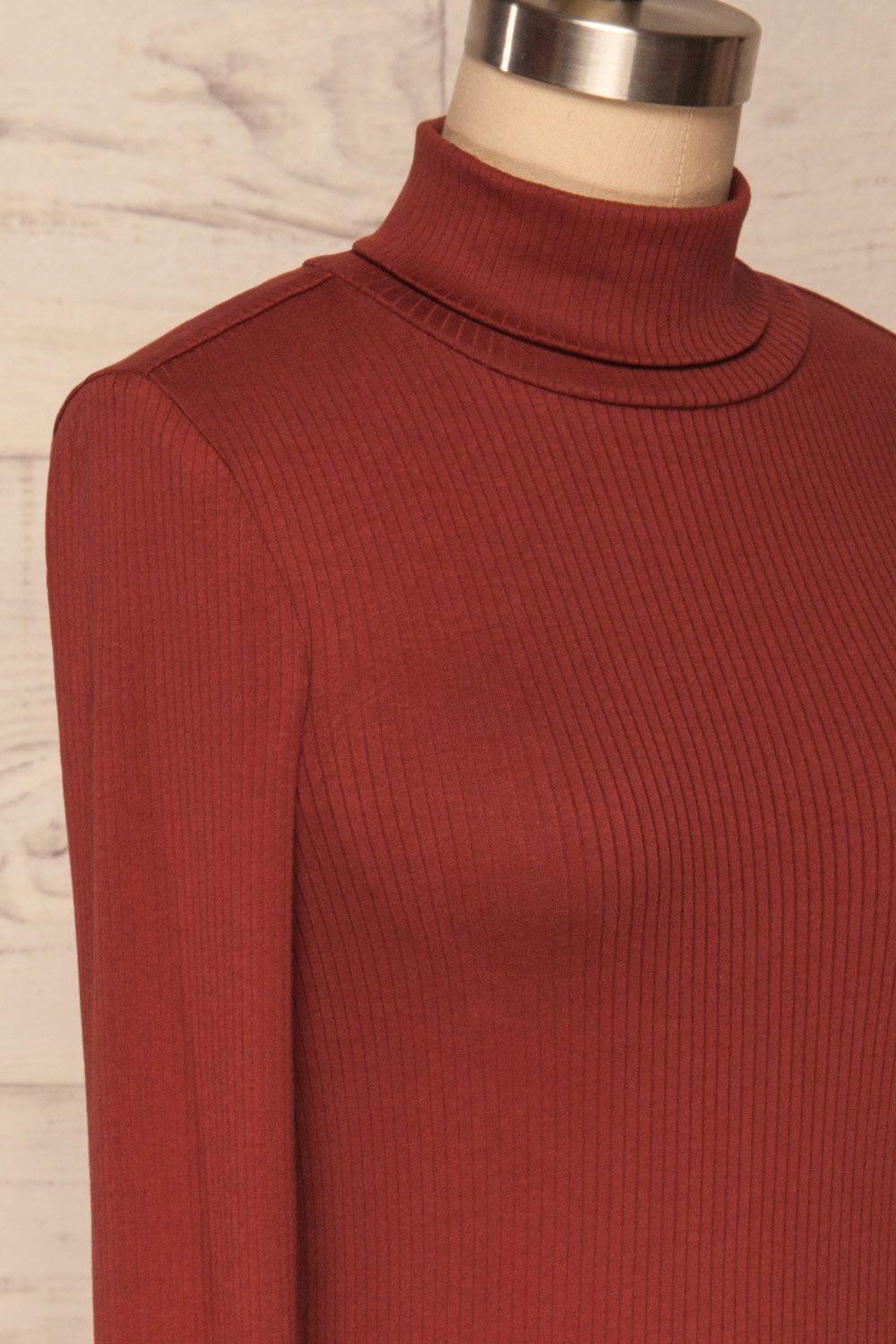 Roust Rust Cotton Ribbed Turtleneck Top side close up | La Petite Garçonne