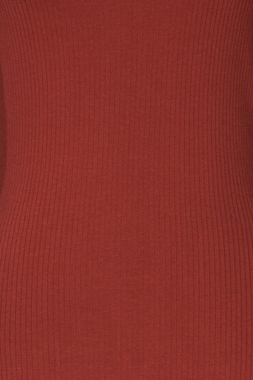 Roust Rust Cotton Ribbed Turtleneck Top texture close up | La Petite Garçonne