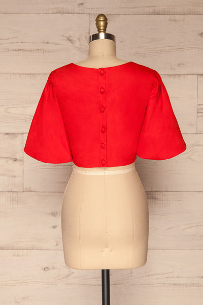 Rydzyna Red Short-Sleeved Crop Top | La petite garçonne back view