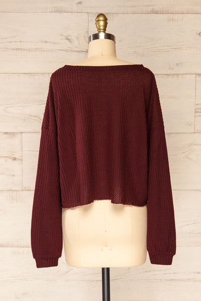Sepino Burgundy Cropped Knit Sweater | La petite garçonne back view