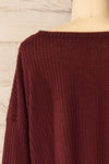 Sepino Burgundy Cropped Knit Sweater | La petite garçonne back close-up