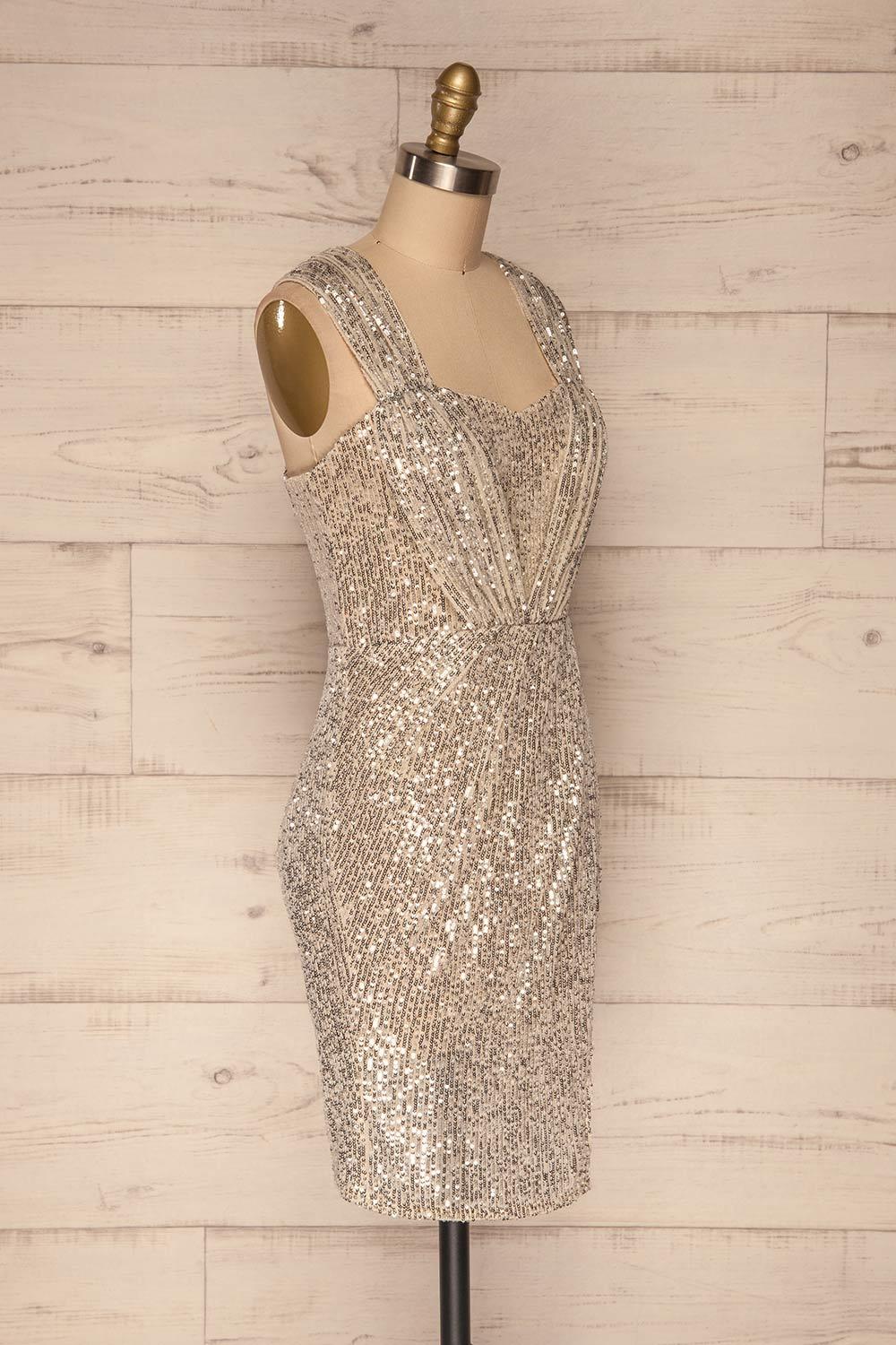 Siderona Silver Sequin Dress | Robe side view | La Petite Garçonne