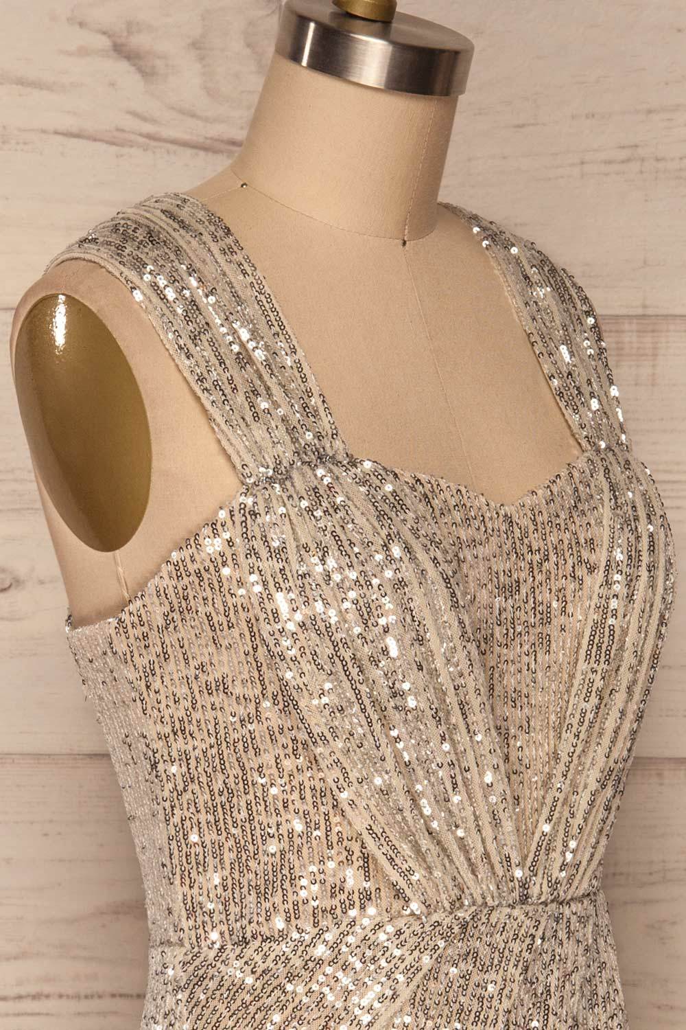 Siderona Silver Sequin Dress | Robe side close up | La Petite Garçonne