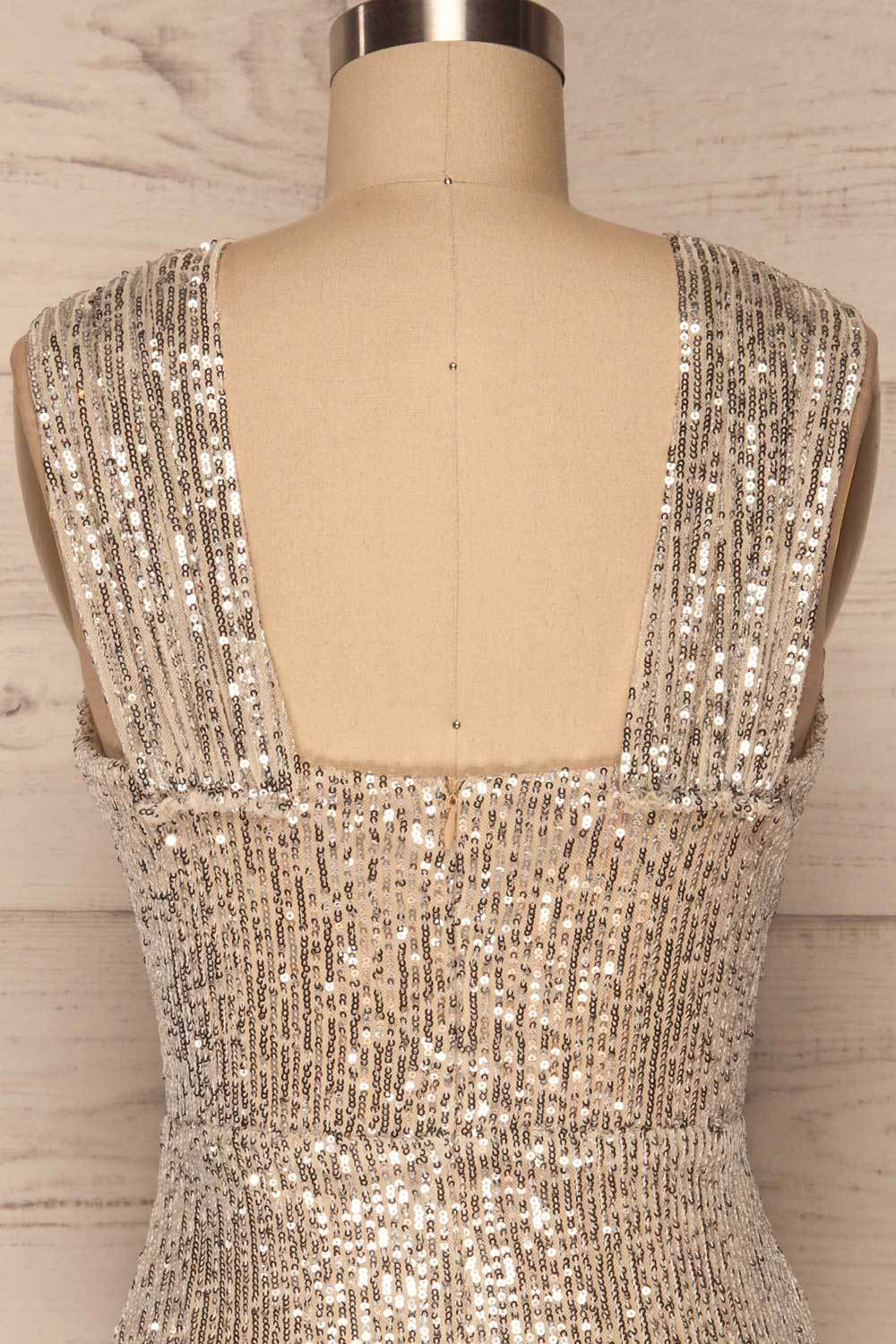 Siderona Silver Sequin Dress | Robe back close up | La Petite Garçonne