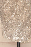 Siderona Silver Sequin Dress | Robe skirt | La Petite Garçonne