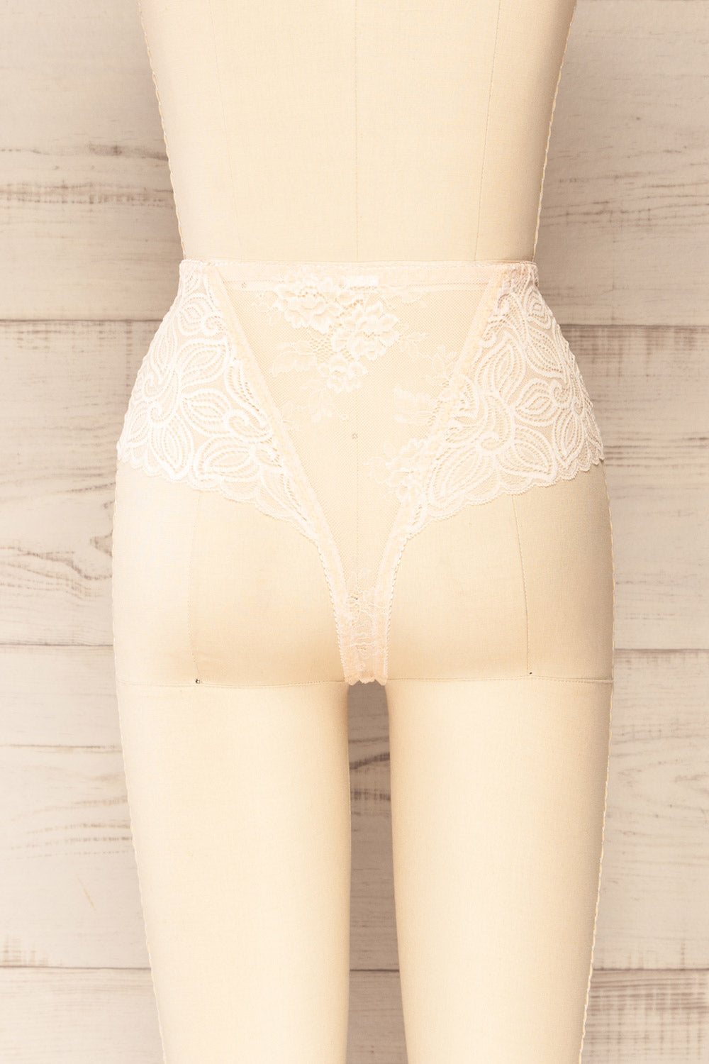 Silves Pink Translucent Lace Panties | La petite garçonne  back view